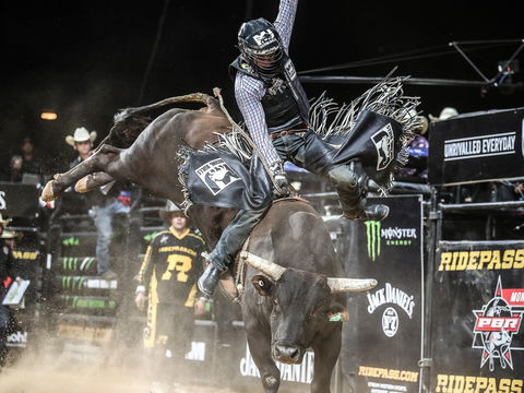 PBR Hawkesbury Stampede - Accommodation 4U 0