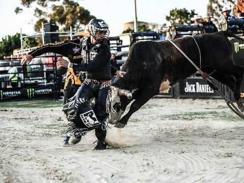 PBR Hawkesbury Stampede - Accommodation 4U 2