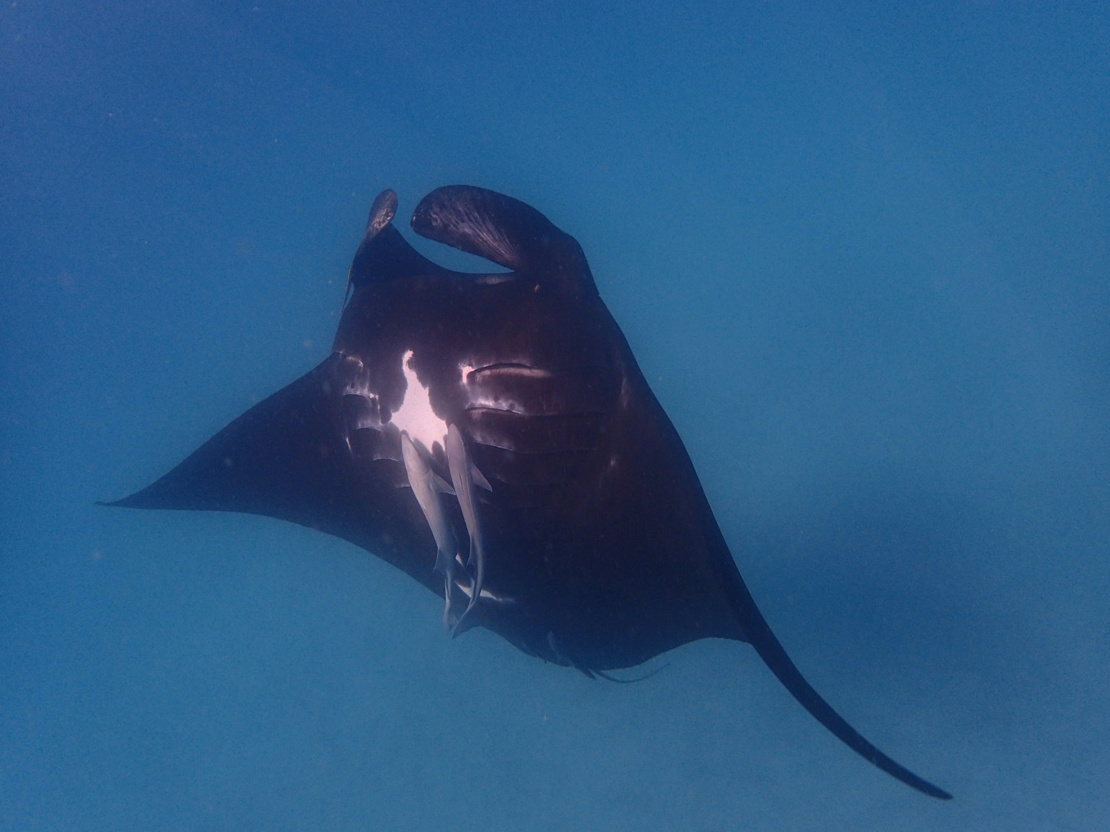 Carbla WA Accommodation 4U