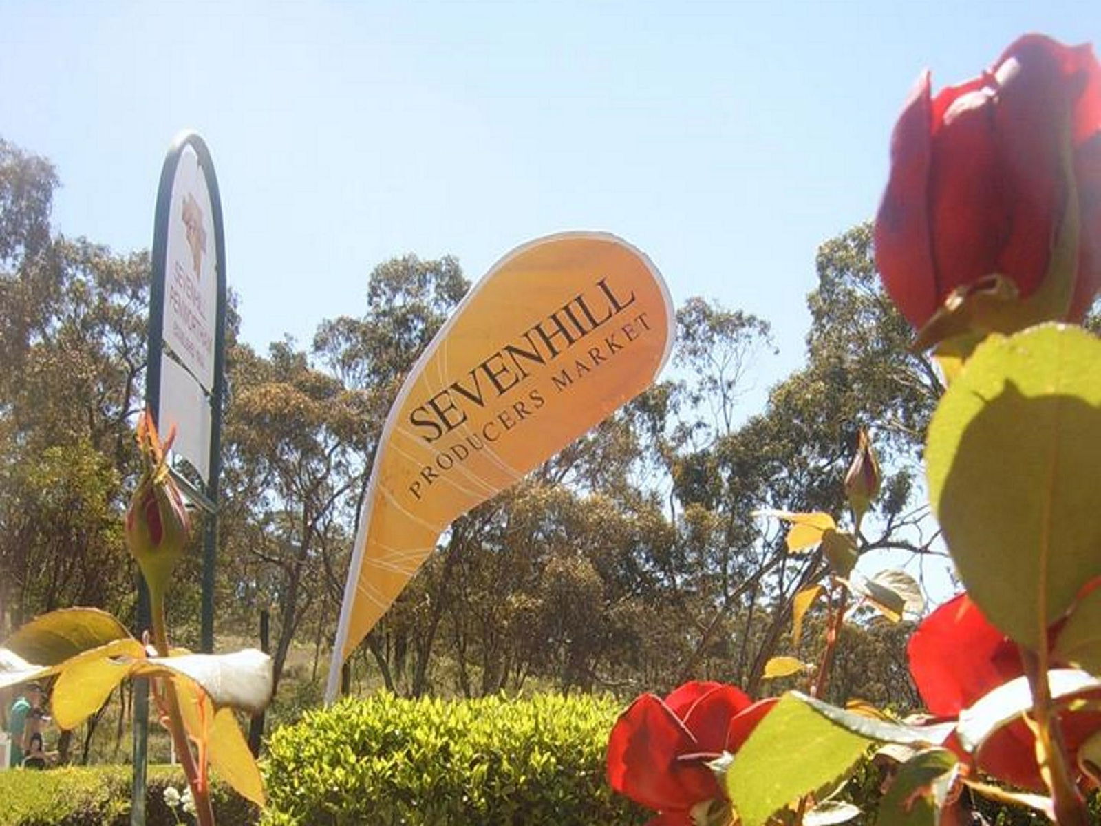 Sevenhill SA Accommodation 4U