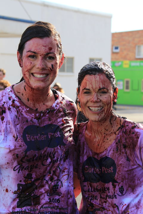 Stanthorpe Apple And Grape Harvest Festival - Accommodation 4U 1