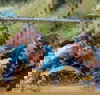 Suck It Up Buttercup Vikings Obstacle Course - Accommodation 4U