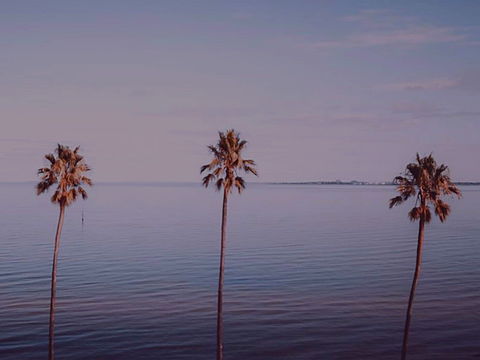 Sunset Streaming Live DJ Streams - Accommodation 4U 0