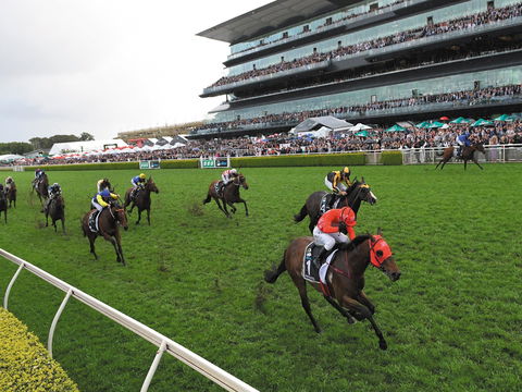 The TAB Everest: The World’s Richest Race On Turf - Accommodation 4U 0