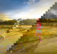 Trail Run Australia  Snowy Mountains - Accommodation 4U