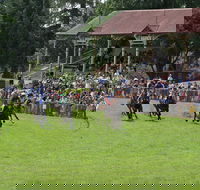 Tumut Derby Day - Accommodation 4U