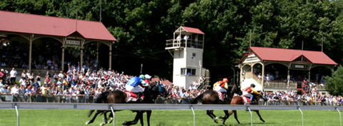 Tumut Derby Day - Accommodation 4U 1