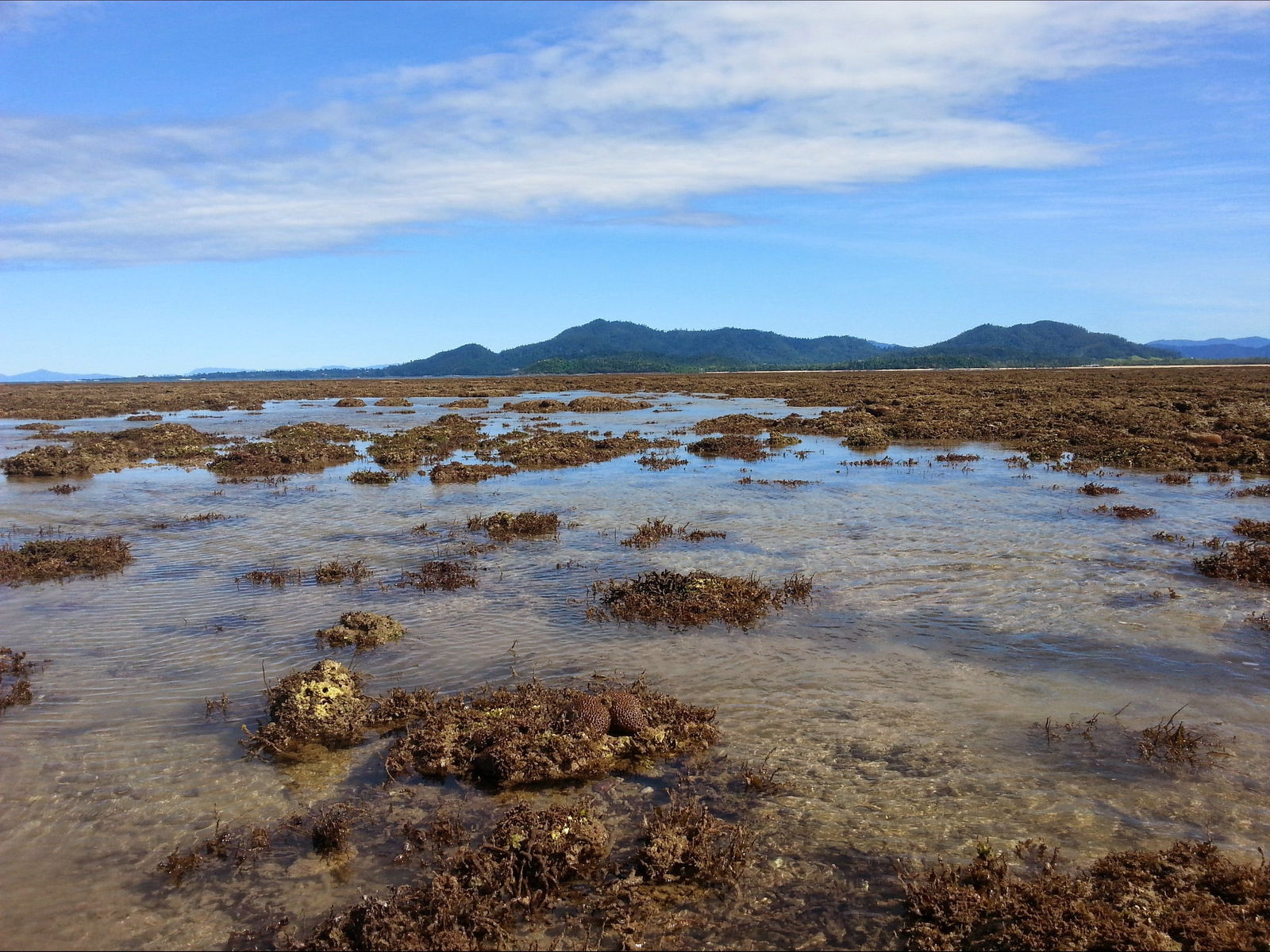 Kurrimine Beach QLD Accommodation 4U