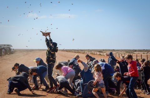 28th Marree Australasian CAMEL CUP 3 July 2021 - Accommodation 4U 1
