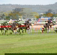 Aggies Race Day - Accommodation 4U