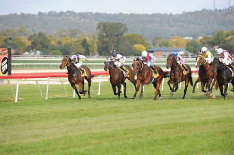 Aggies Race Day - Accommodation 4U 0