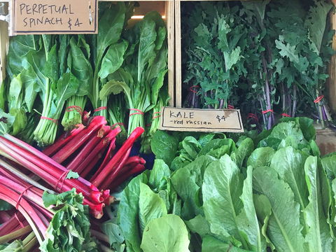 Albury Wodonga Farmers Market - Accommodation 4U 0
