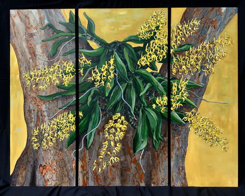 A Still Life - Solo Exhibition  Karen Sedaitis - Accommodation 4U 1