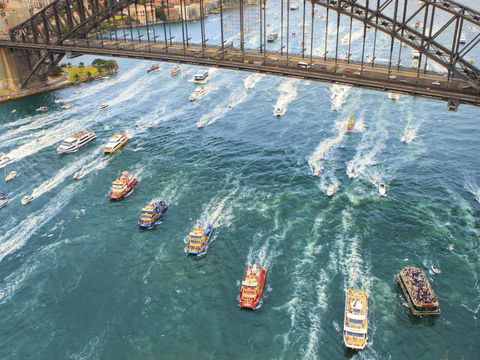 Australia Day Lunch Cruise - Accommodation 4U 1