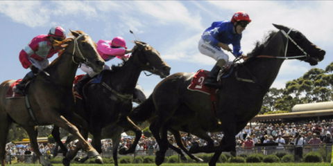 Batemans Bay Cup - Accommodation 4U 0