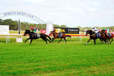 Batemans Bay Cup - Accommodation 4U 2