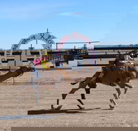 Bedourie Camel and Pig Races and Camp oven Cook-off - Accommodation 4U