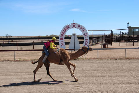 Bedourie Camel And Pig Races And Camp Oven Cook-off - Accommodation 4U 0