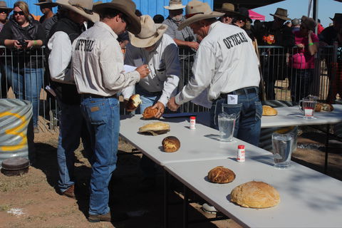 Bedourie Camel And Pig Races And Camp Oven Cook-off - Accommodation 4U 2