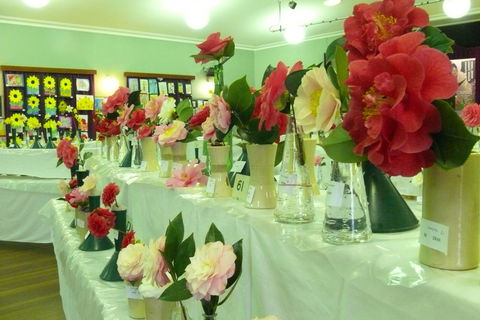 Blackheath Flower And Craft Show - Accommodation 4U 1