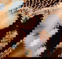 Christmas Lights Spectacular at Hunter Valley Gardens - Accommodation 4U