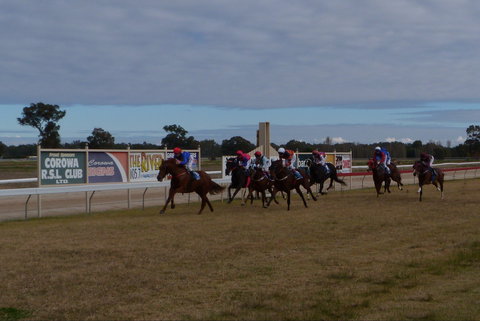 Corowa Horseraces - Accommodation 4U 0