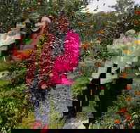 Fruit Taste Adventure Tours - Accommodation 4U