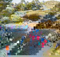 Goulburn Parkrun - Accommodation 4U