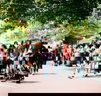Hahndorf Christkindlmarkt - Accommodation 4U
