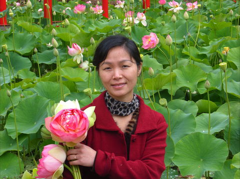 Lotus Flower Season - Accommodation 4U 1