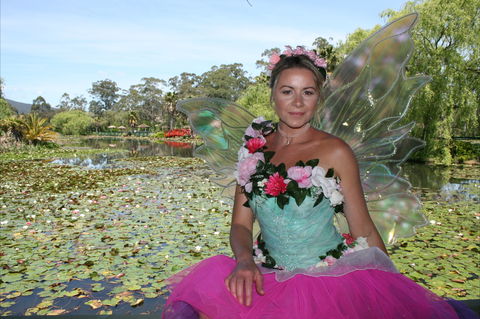 Lotus Flower Season - Accommodation 4U 2