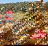 Mini Muddies Obstacle Challenge at Bunnamagoo Estate - Accommodation 4U