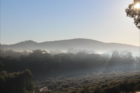 Mudgeeque - Accommodation 4U 0