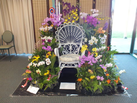 Orchids Out West - Accommodation 4U 0