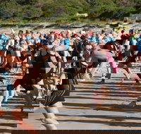 Port Stephens Triathlon Festival - Accommodation 4U