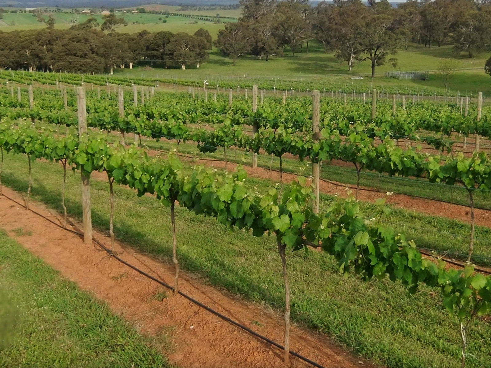 Menangle NSW Accommodation 4U