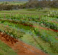 Razorback Ridge Wines Open Weekends - Accommodation 4U