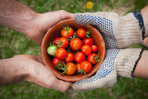 Riverina Producers Market - Accommodation 4U 0