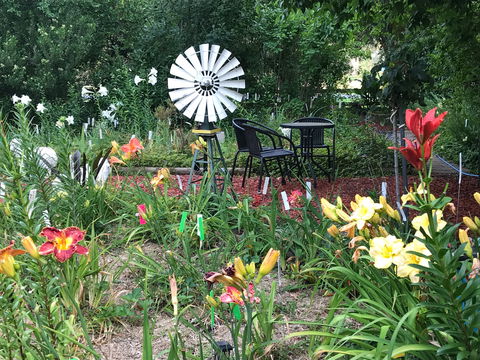 Riverina Iris Farm Open Garden And Iris Display - Accommodation 4U 2