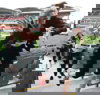 Stadium Stomp Adelaide Oval - Postponed - Accommodation 4U