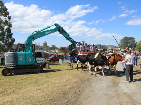 SteamFest 2021 - Accommodation 4U 0