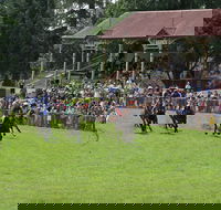 Tumut Boxing Day Races - Accommodation 4U