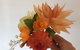Wafer Paper Flower Class: Autumn Flowers - thumb 0