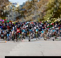 Wagga Lake Run Ride - Accommodation 4U