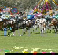 Wangaratta Show - Accommodation 4U