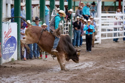 Warwick Rodeo National APRA National Finals And Warwick Gold Cup Campdraft - Accommodation 4U 1