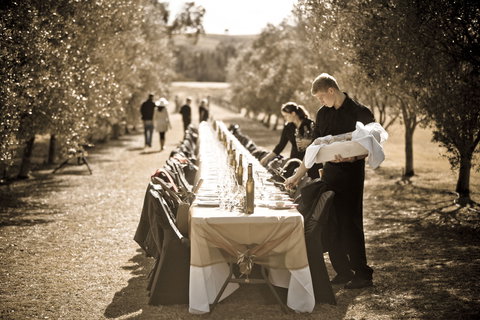 Whispering Brook Olive Long Table Luncheon - Accommodation 4U 1
