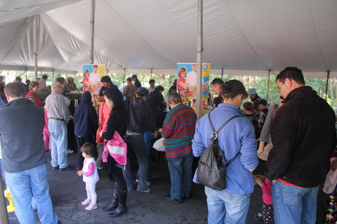 Wildflower Art And Garden Festival - Accommodation 4U 0