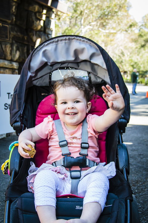 Wildflower Art And Garden Festival - Accommodation 4U 2