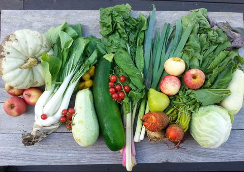 Wingham Farmers Market - Accommodation 4U 0